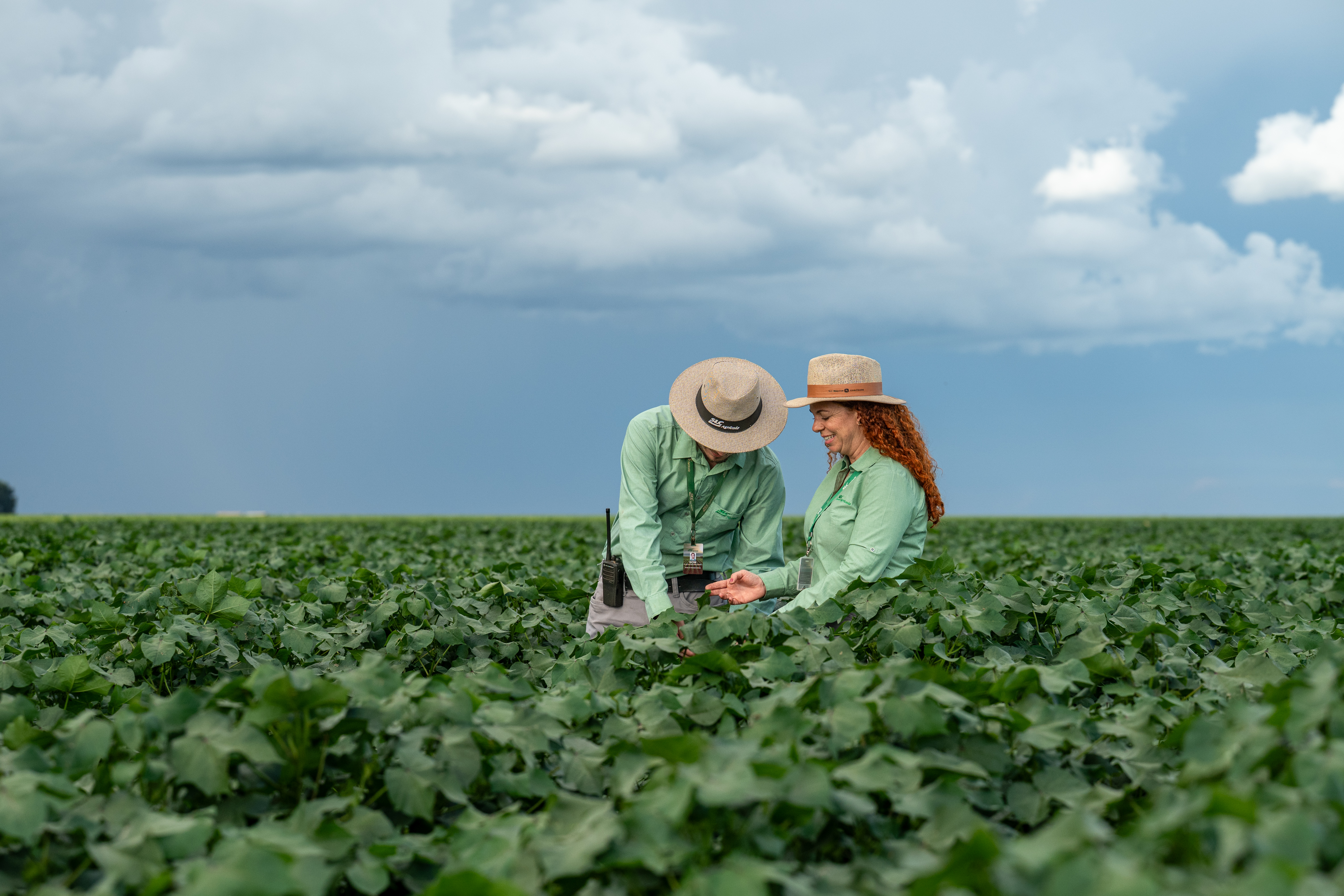 SLC Agrícola obtém pontuação 
