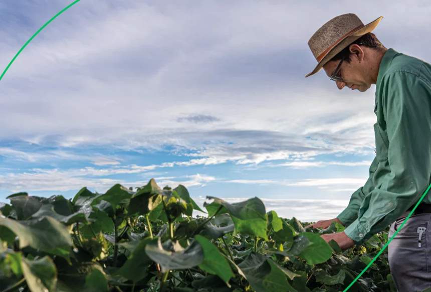 SLC Agrícola anuncia a maior operação de mensuração de carbono (GEE) do agro brasileiro