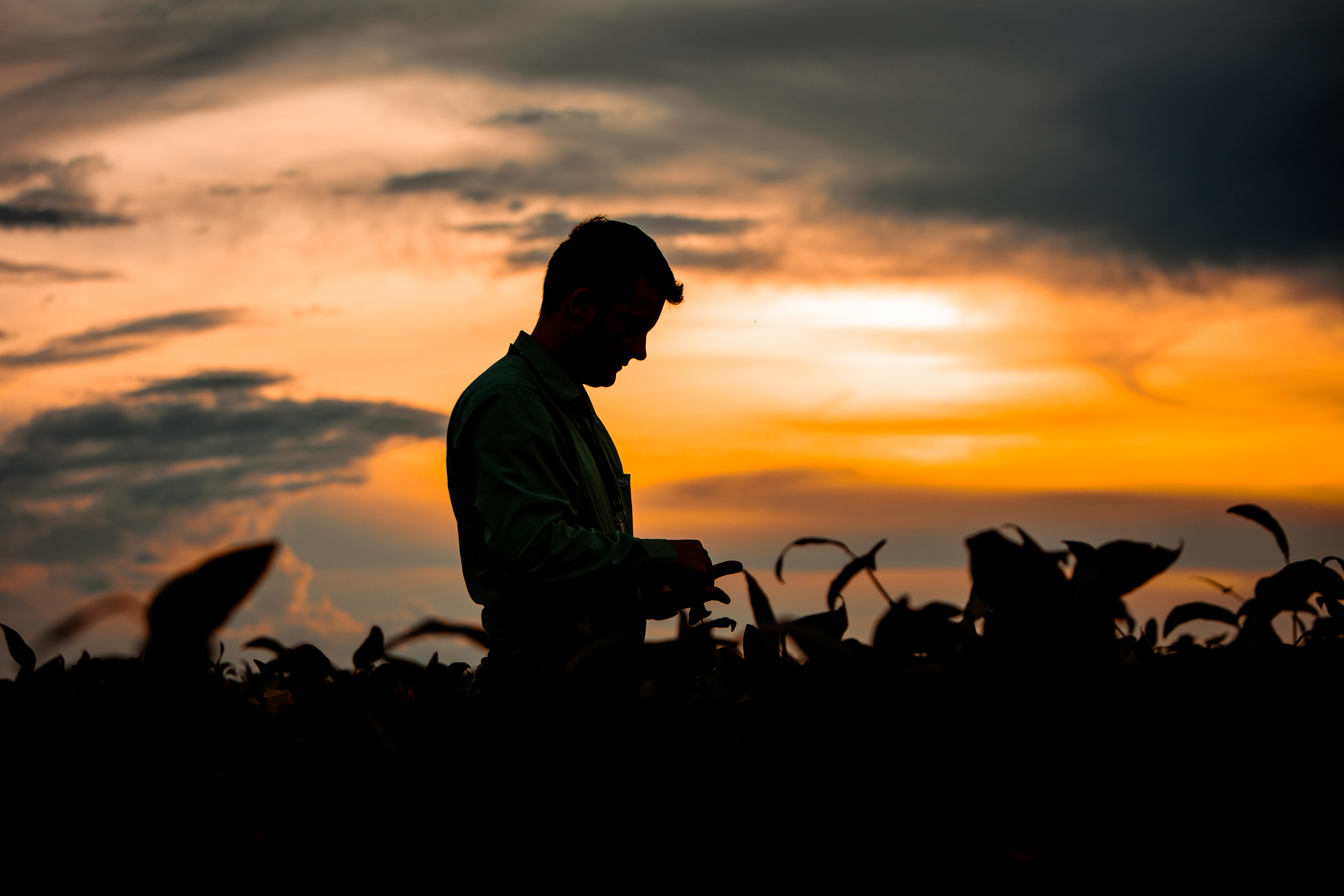 SLC Agrícola conquista Selo Ouro do GHG Protocol pelo quinto ano consecutivo e reafirma compromisso com a sustentabilidade