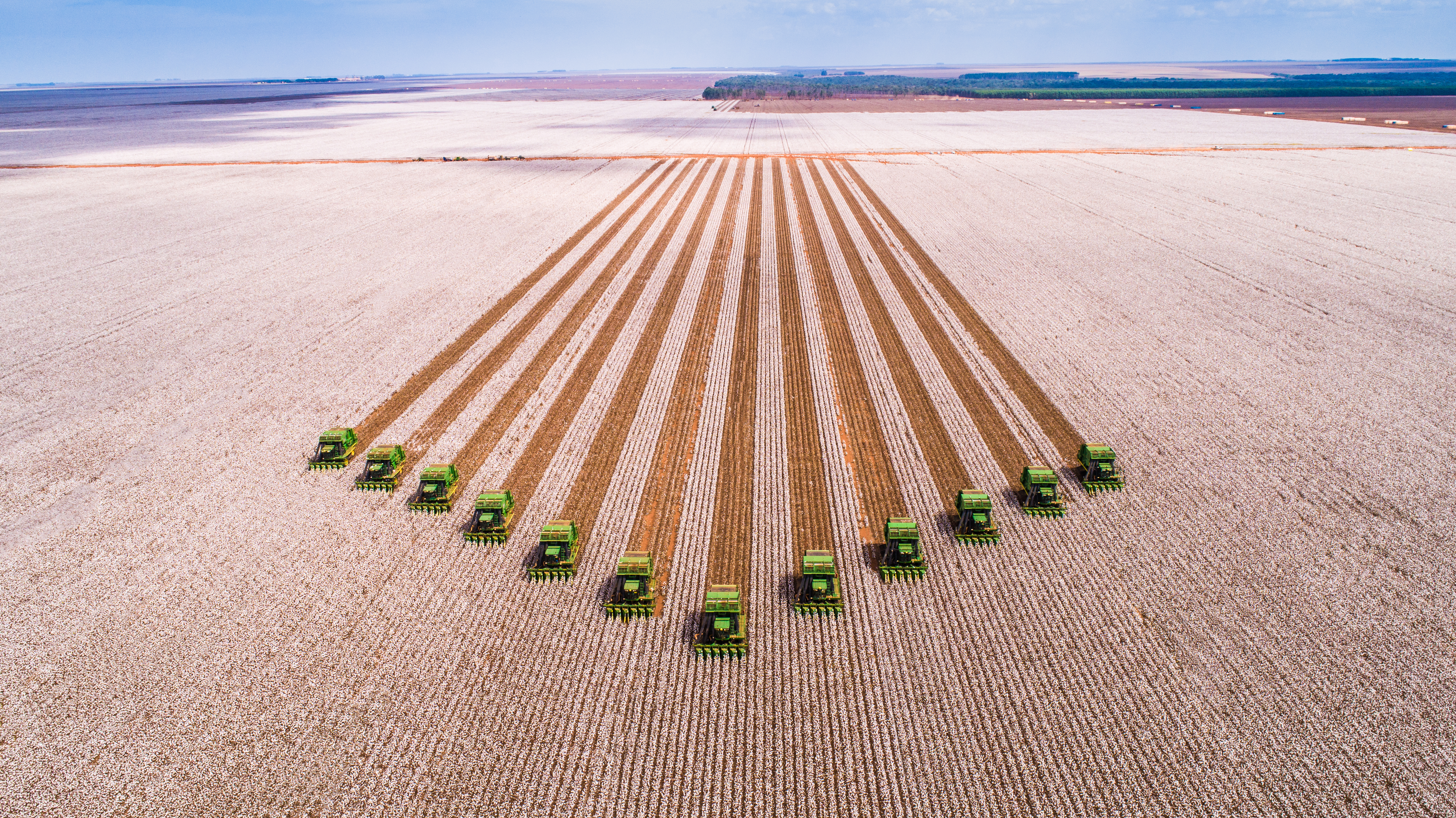 SLC Agrícola estreia no Índice de Dividendos da B3