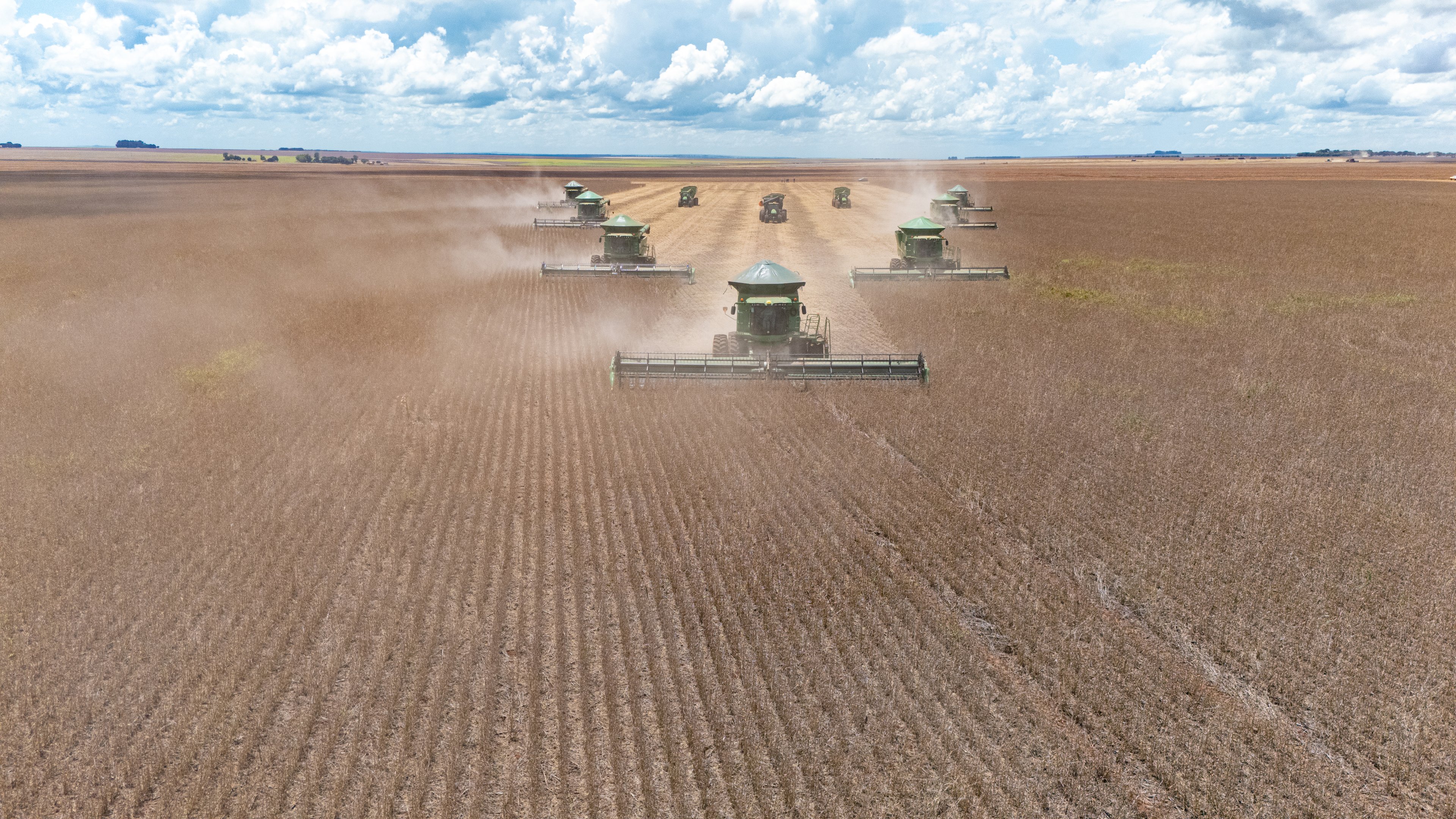 SLC Agrícola anuncia compra da empresa Sierentz e aumento da área plantada para a safra 2025/2026